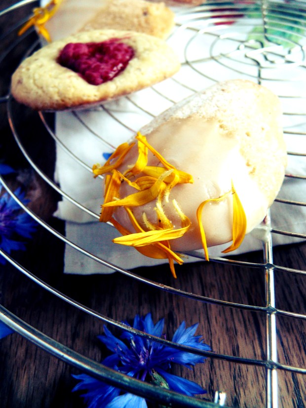 Madeleines au citron et framboises 1