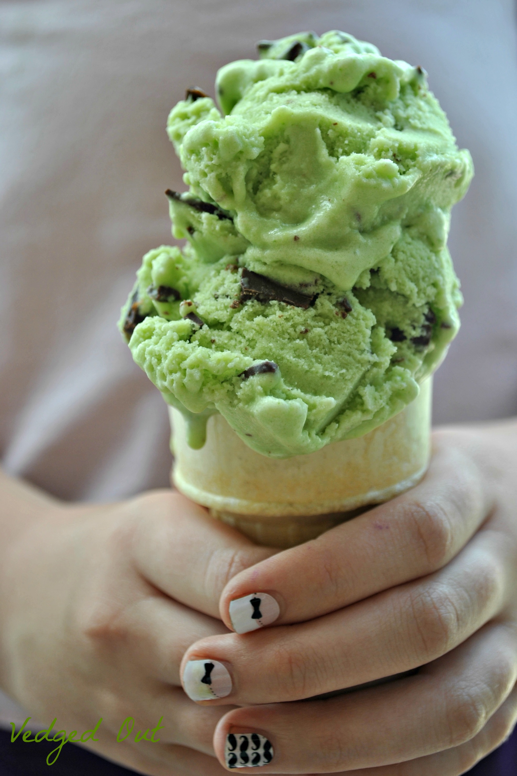 Vegan Mint Chocolate Chip Ice Cream- Guest Post for Kayle Martin