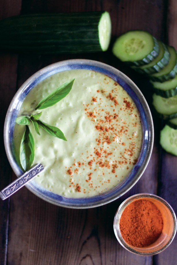 Spicy-Avocado-Aviator